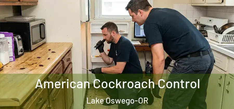 American Cockroach Control Lake Oswego-OR
