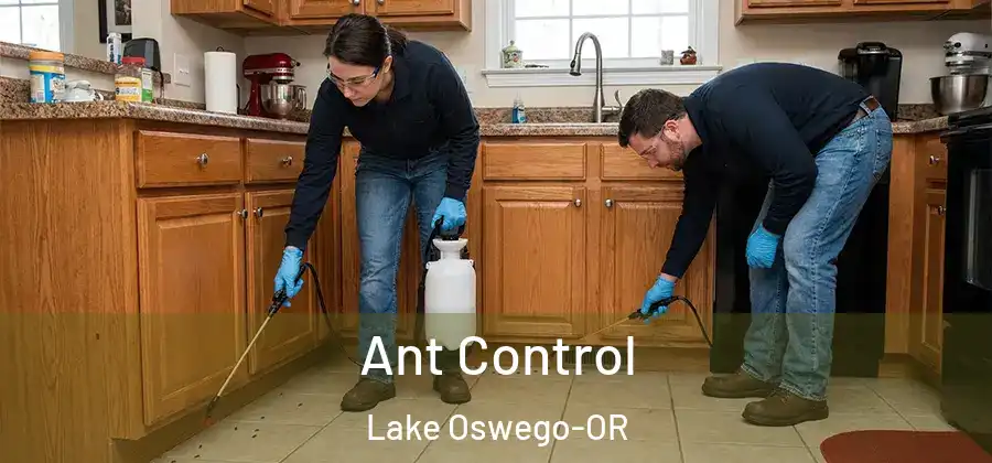 Ant Control Lake Oswego-OR