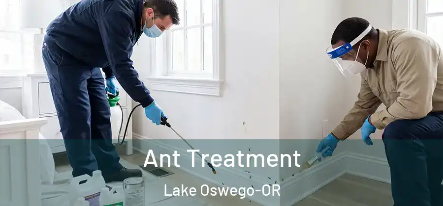  Ant Treatment Lake Oswego-OR