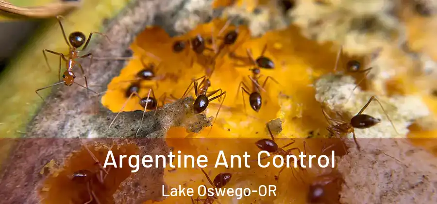 Argentine Ant Control Lake Oswego-OR