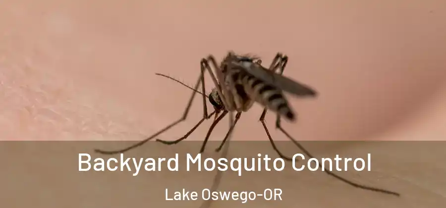 Backyard Mosquito Control Lake Oswego-OR