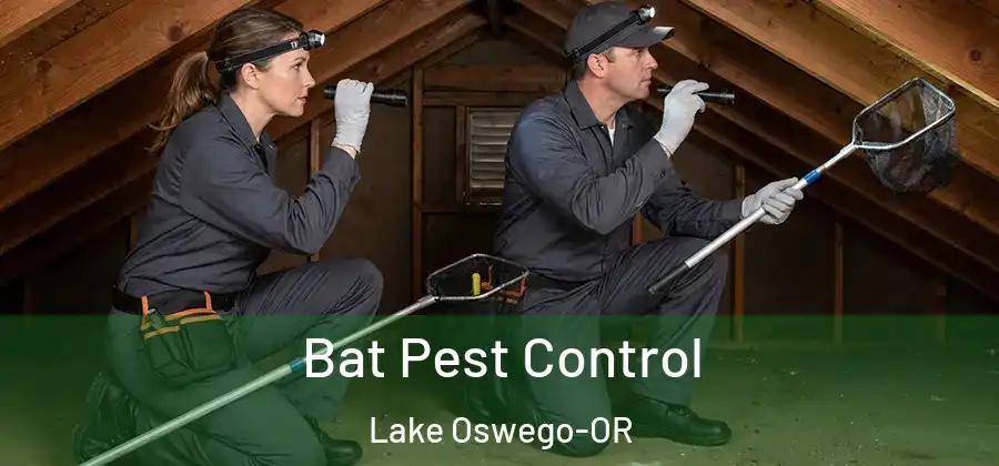 Bat Pest Control Lake Oswego-OR