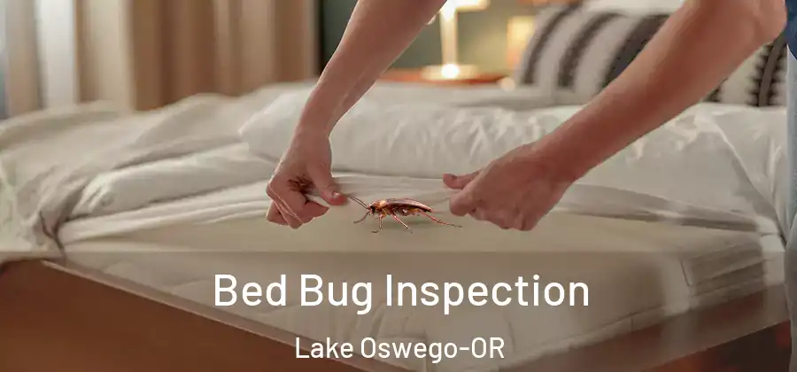  Bed Bug Inspection Lake Oswego-OR