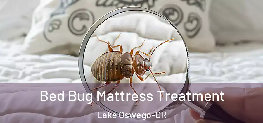 Bed Bug Mattress Treatment Lake Oswego-OR