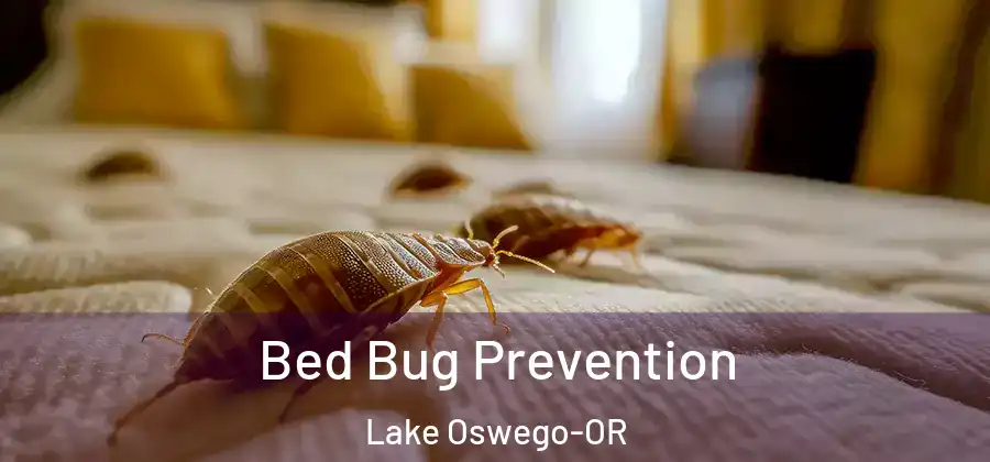 Bed Bug Prevention Lake Oswego-OR