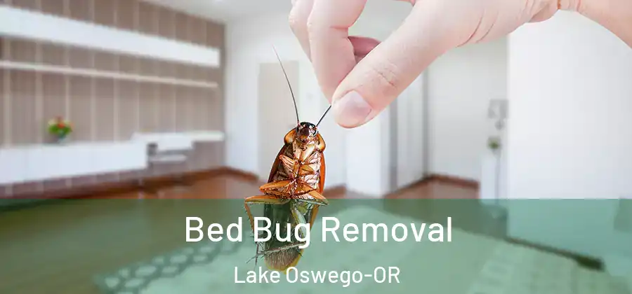Bed Bug Removal Lake Oswego-OR