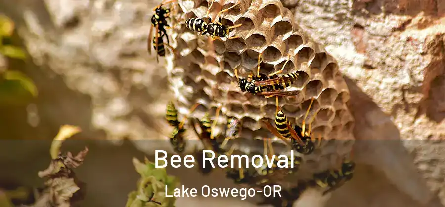  Bee Removal Lake Oswego-OR