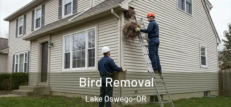Bird Removal Lake Oswego-OR