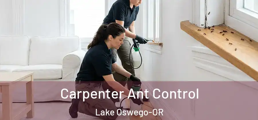 Carpenter Ant Control Lake Oswego-OR
