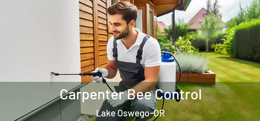 Carpenter Bee Control Lake Oswego-OR