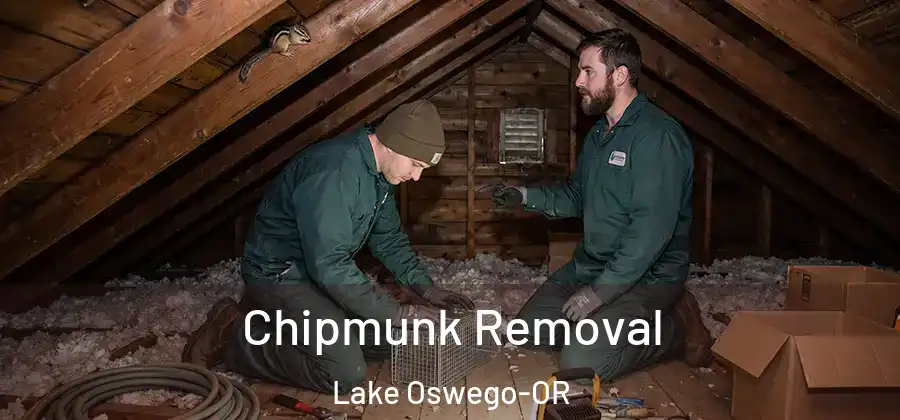  Chipmunk Removal Lake Oswego-OR