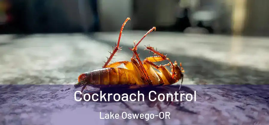 Cockroach Control Lake Oswego-OR