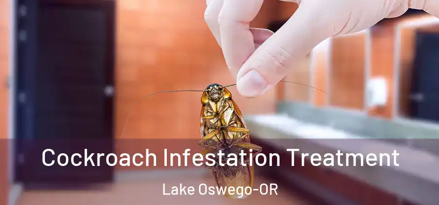 Cockroach Infestation Treatment Lake Oswego-OR