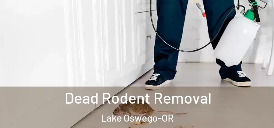  Dead Rodent Removal Lake Oswego-OR