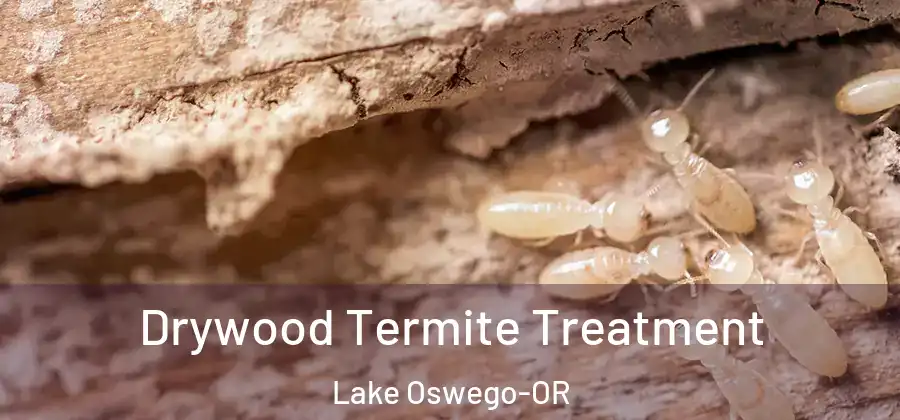 Drywood Termite Treatment Lake Oswego-OR