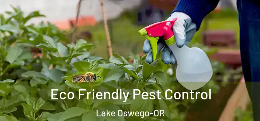  Eco Friendly Pest Control Lake Oswego-OR