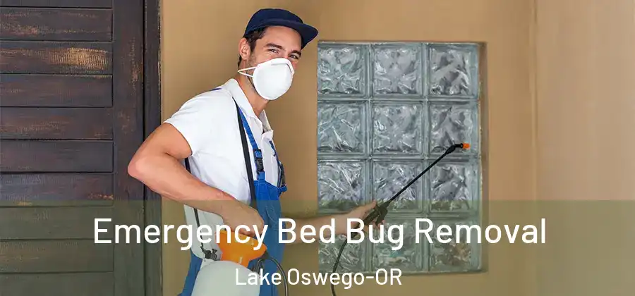 Emergency Bed Bug Removal Lake Oswego-OR