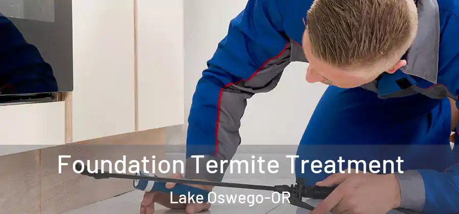  Foundation Termite Treatment Lake Oswego-OR