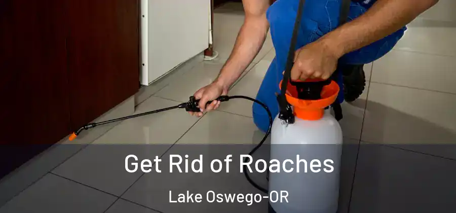 Get Rid of Roaches Lake Oswego-OR