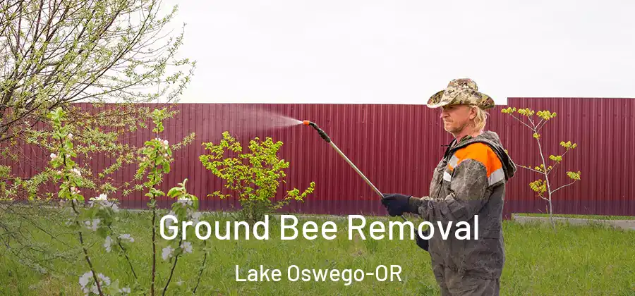 Ground Bee Removal Lake Oswego-OR