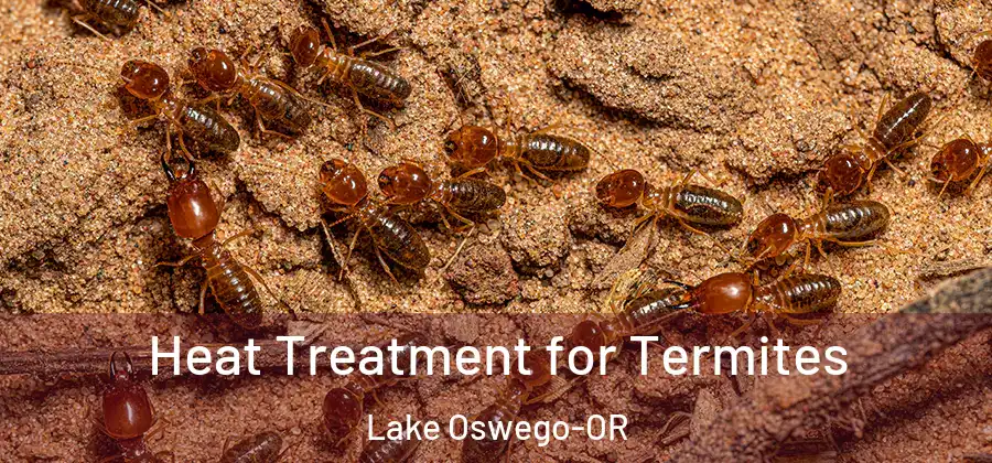Heat Treatment for Termites Lake Oswego-OR