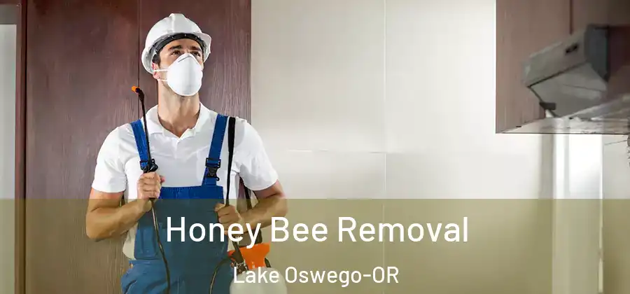  Honey Bee Removal Lake Oswego-OR