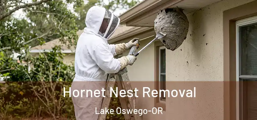  Hornet Nest Removal Lake Oswego-OR
