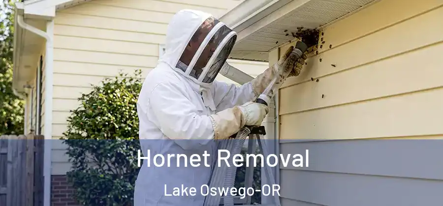  Hornet Removal Lake Oswego-OR