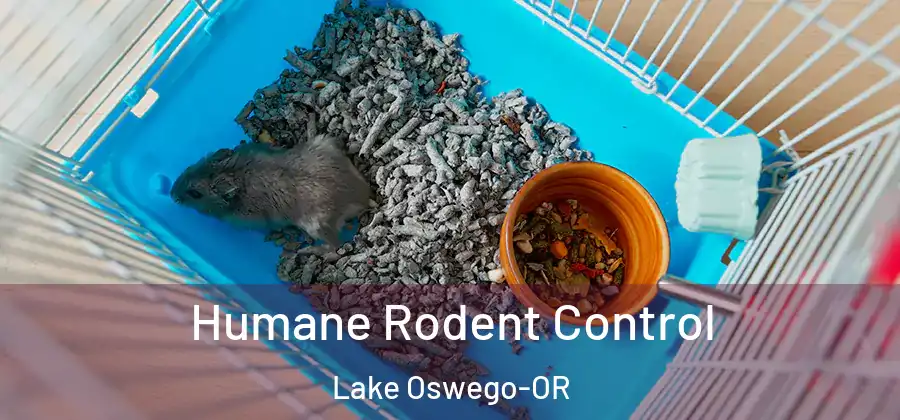 Humane Rodent Control Lake Oswego-OR