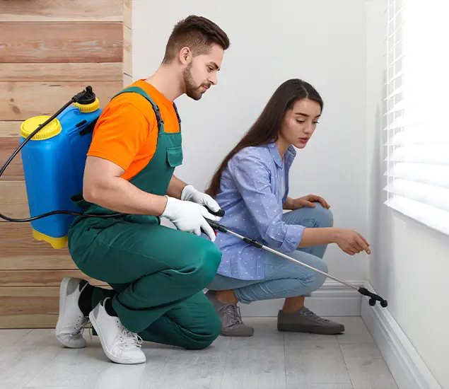 Trusted Affordable Bed Bug Treatment Experts in Lake Oswego, OR