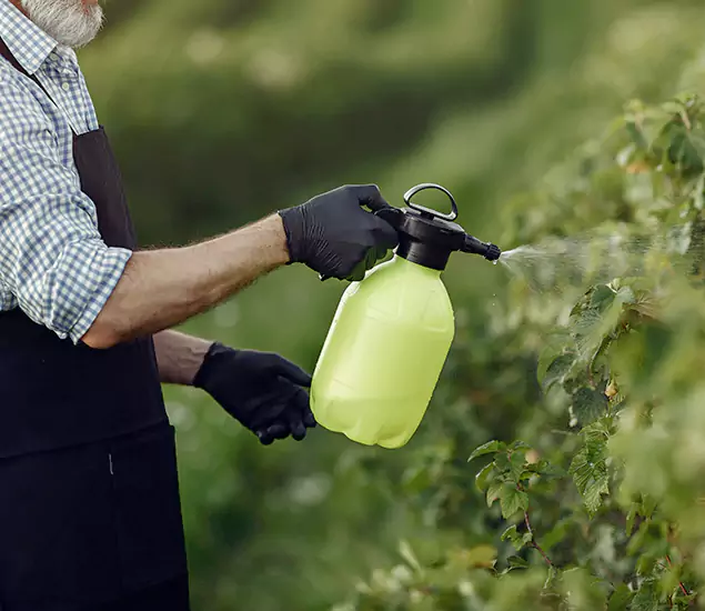 Your Proven Mosquito Treatment Company in Lake Oswego, OR