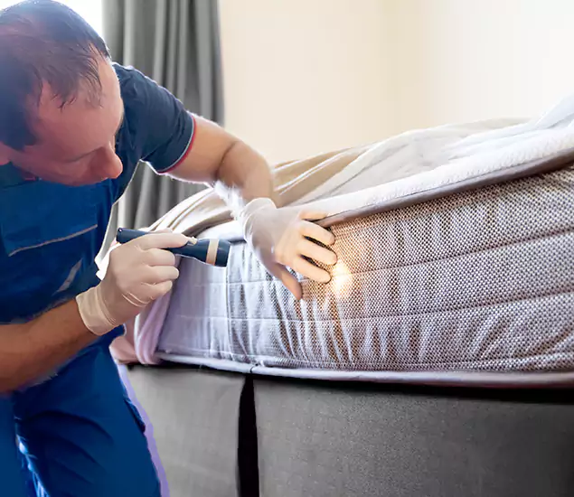 Trusted Bed Bug Cost Experts in Lake Oswego, OR