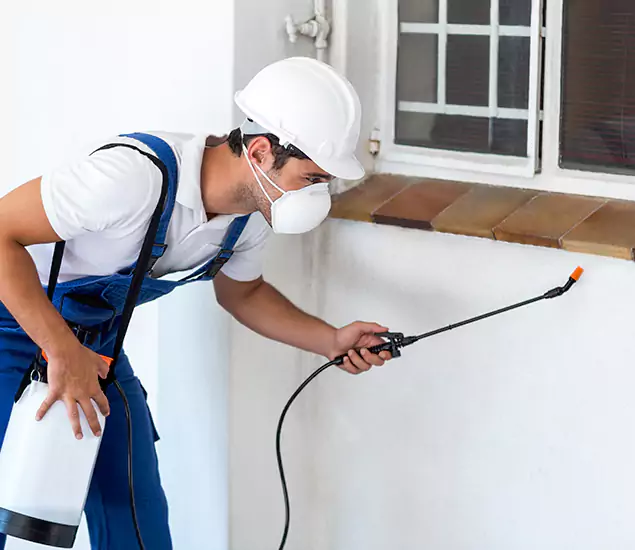 Your Professional Cockroach Exterminator in Lake Oswego, OR