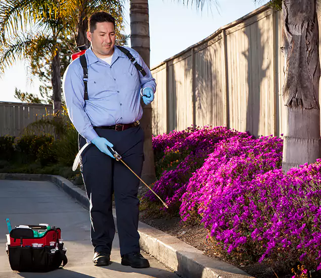 About Our Eco Safe Pest Control Experts in Lake Oswego, OR