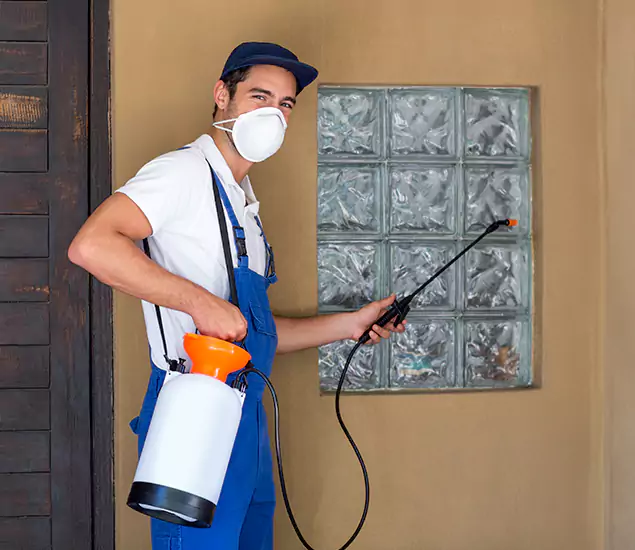 Your Reliable Pest Control in Lake Oswego, OR