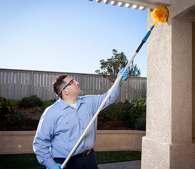 Trusted Experts in Lake Oswego OR for Formosan Termite Treatment and Black Termite Control