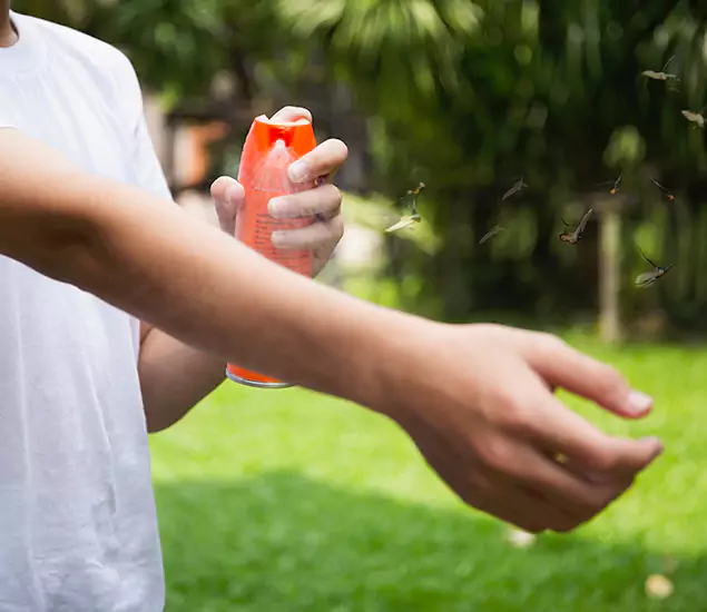 Your Best Indoor Bug Killer Team in Lake Oswego, OR