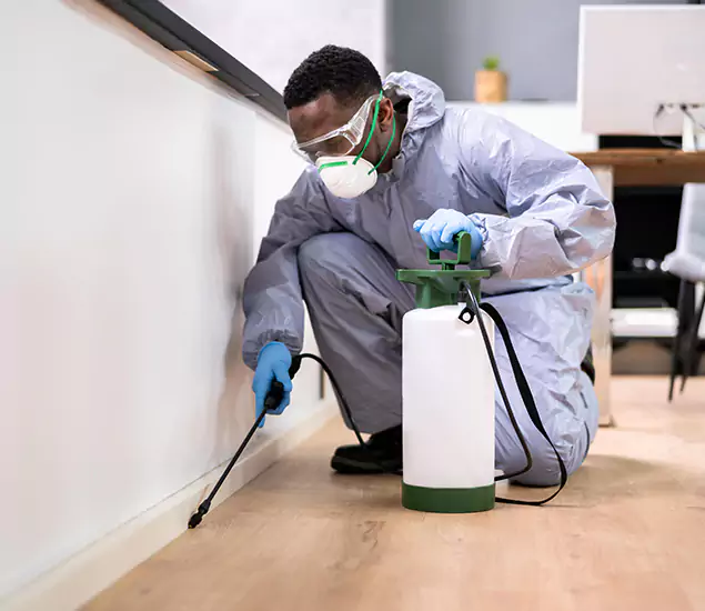 Leading Industrial Pest Control Experts Serving Lake Oswego, OR