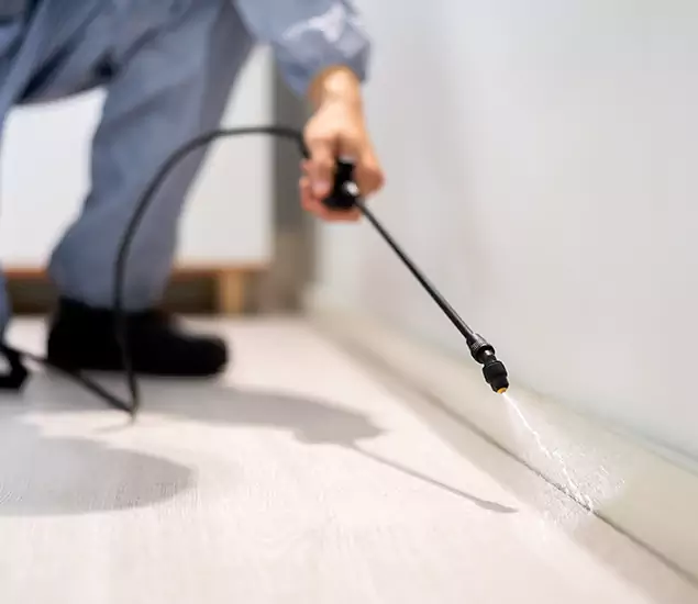 About Our Liquid Termite Treatment Experts in Lake Oswego, OR