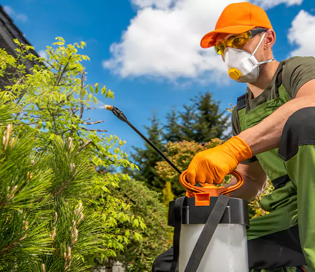 Your Mosquito Repellent Barrier Service in Lake Oswego, OR