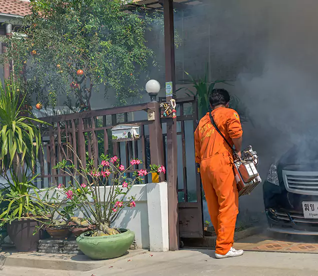 Your Proven Mosquito Fogging Company in Lake Oswego, OR