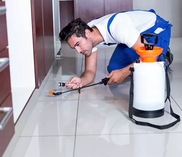 Reliable Professional Mouse Removal: Your Best Mouse Control Company in Lake Oswego, OR