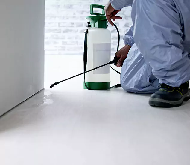 Affordable Pest Control Experts in Lake Oswego, OR
