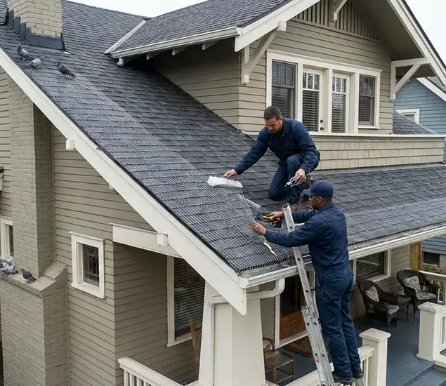 Your Pigeon Control Experts in Lake Oswego, OR