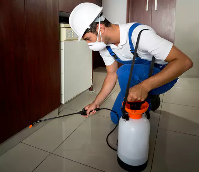 Advanced Termite Pre Treatment Experts in Lake Oswego, OR