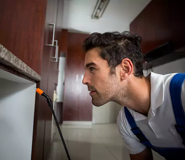 Expert Rodent in Attic Removal: Your Proven Pest Specialists in Lake Oswego, OR