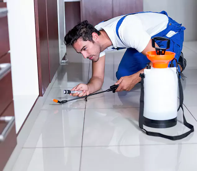 Advanced Slab Termite Treatment Experts You Can Trust&nbsp;in Lake Oswego, OR