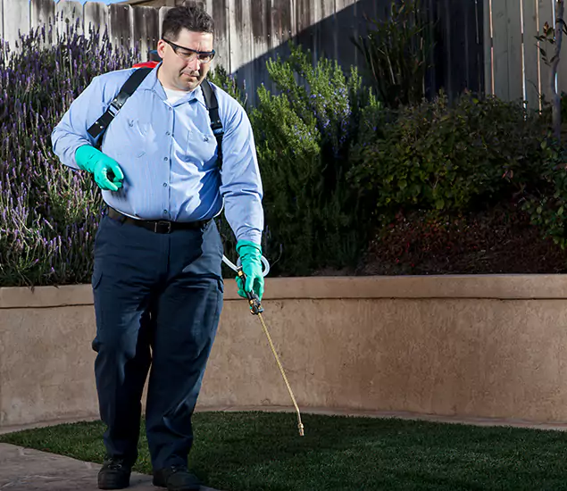 Reliable Termite Barrier Treatment Experts in Lake Oswego, OR