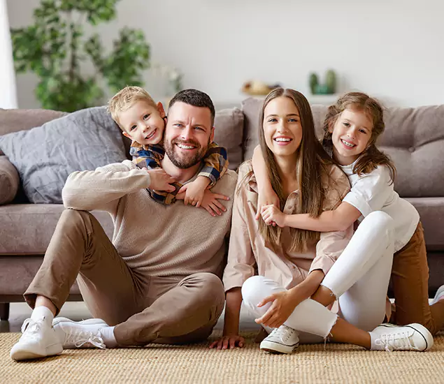 About Our Termite Control Services in Lake Oswego, OR