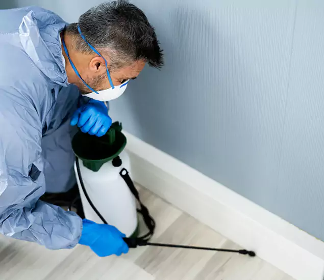 Reliable Termite Cost Experts in Lake Oswego, OR